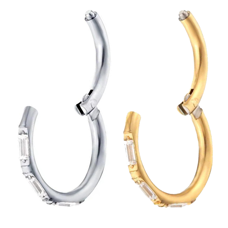 ASTM F136 Titanium Earrings Hi - Body Jewelry Quality 评论和价格