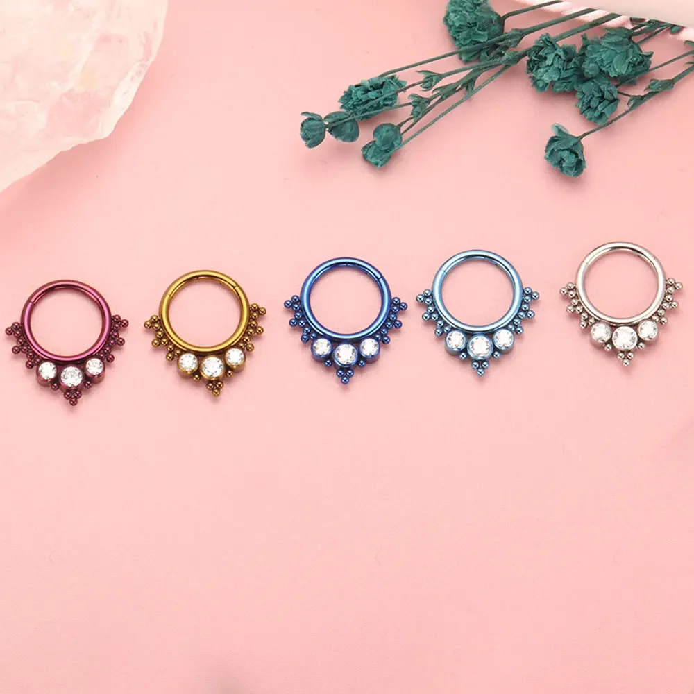 ASTM F136 Titanium Clicker Hig - Body Piercing Quality Jewelry 评论和价格