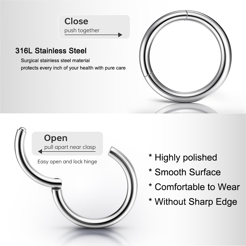 16G 316L Surgical Steel Hinged - Body Jewelry Ear 评论和价格