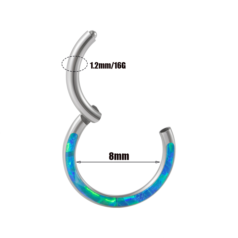 1PC Surgical Steel Opal Hinged - Body Jewelry Quality 评论和价格