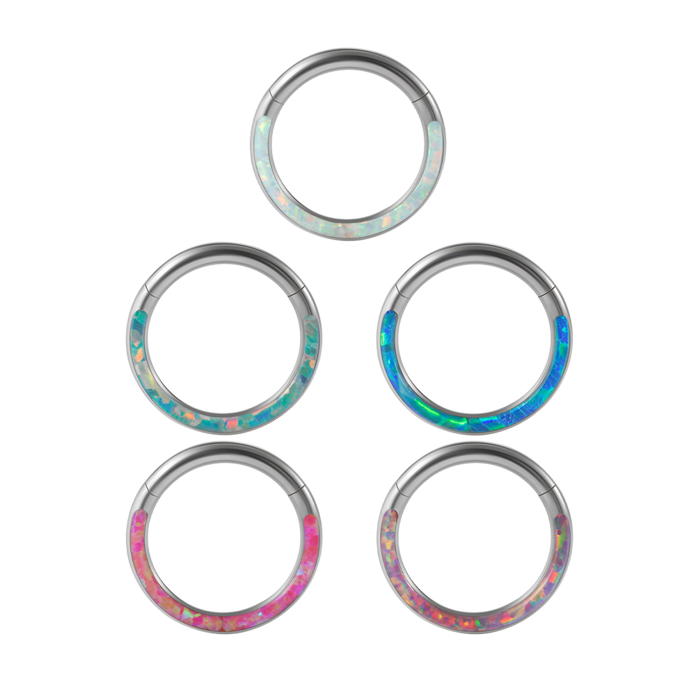 1PC Surgical Steel Opal Hinged - Body Jewelry Quality 评论和价格