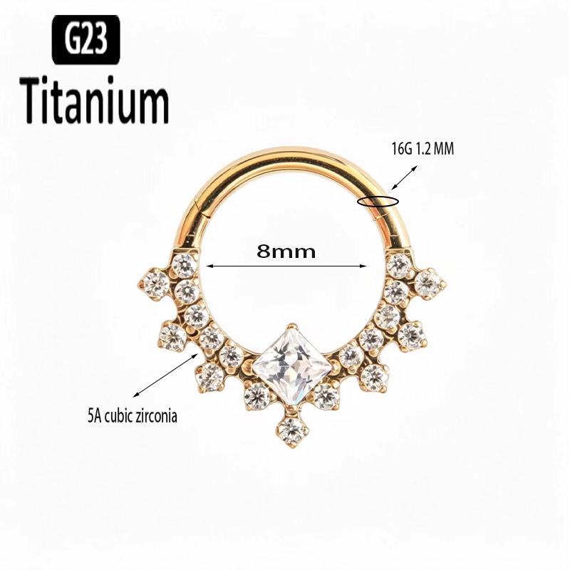 G23 Titanium High Quality Plan - Body Jewelry Quality 评论和价格