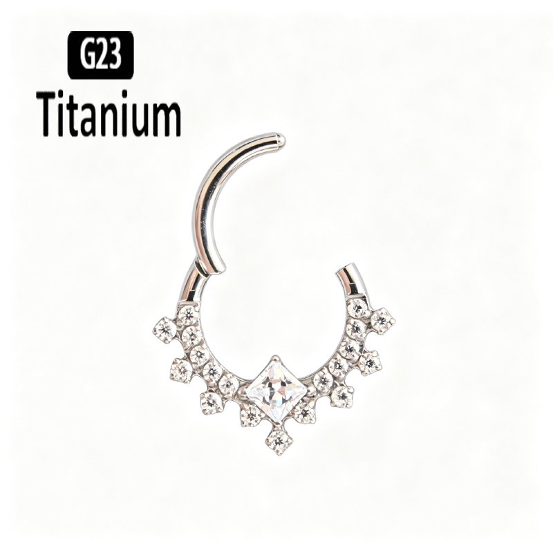 G23 Titanium High Quality Plan - Body Jewelry Quality 评论和价格