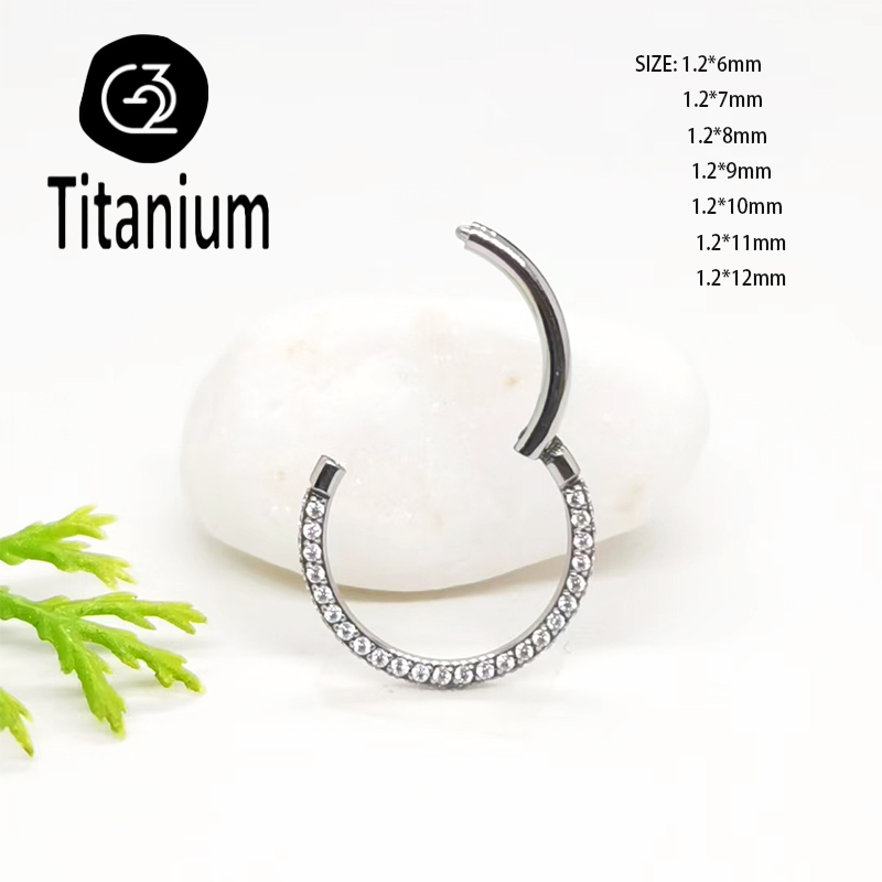 ASTM F136 G23 Titanium Piercin - Body Jewelry Quality 评论和价格